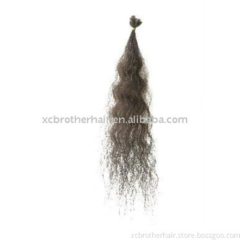 Natural wavy U-tip Indian hair extension